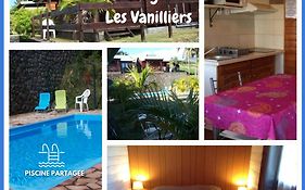 Les Bungalows Les Vanilliers, Sud Sauvage Avec Piscine